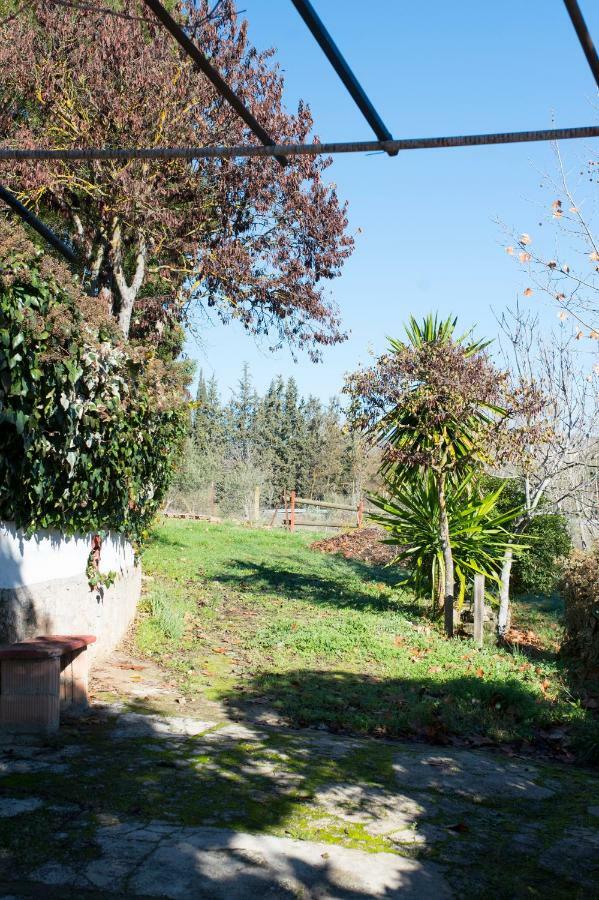 Apartamento Rural Cristi Ρόντα Εξωτερικό φωτογραφία